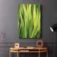 Blades of Grass II - Canvas Art Print