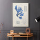 Blue Marine Algae VIII - Canvas Art Print