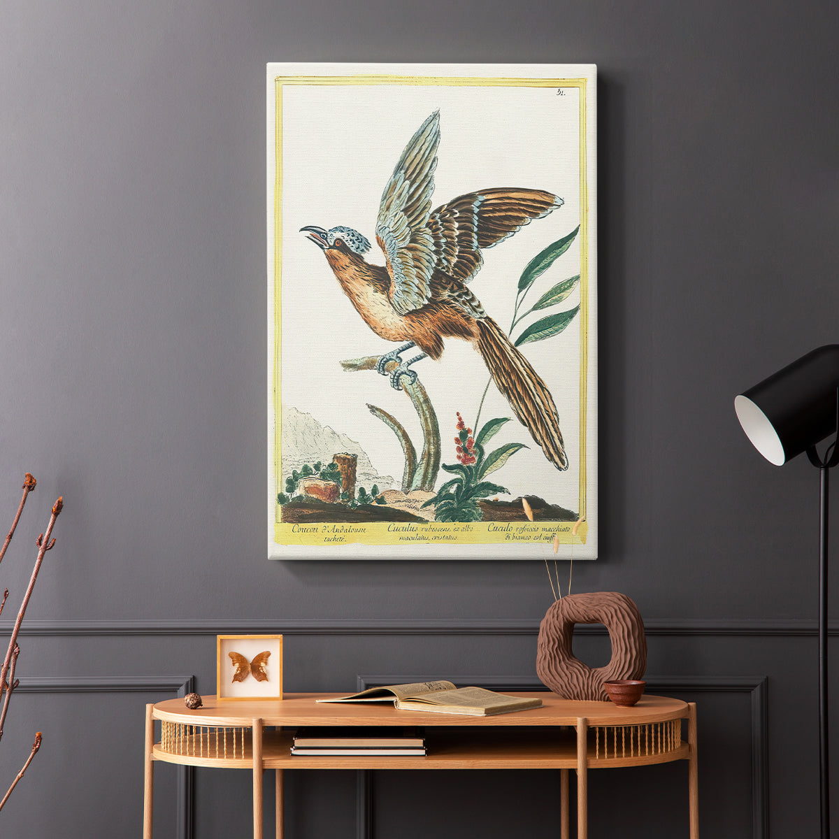 Spotted Andalusian Cuckoo, 1771-1775 - Canvas Art Print