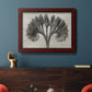 Vintage botanical plant study photograph by Karl Blossfeldt in an ornate cherry burl wood frame displayed in a dark-toned interior setting.