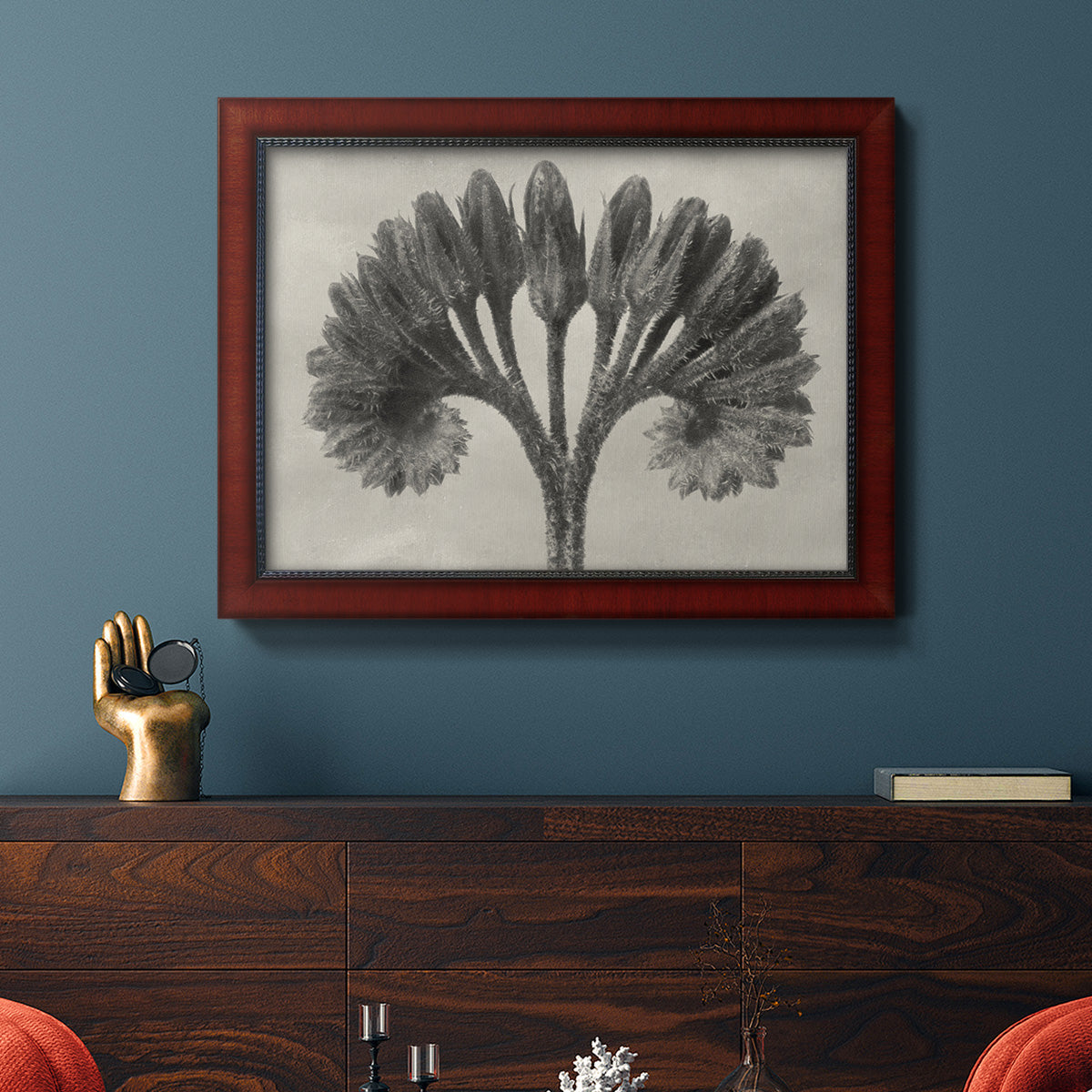Vintage botanical plant study photograph by Karl Blossfeldt in an ornate cherry burl wood frame displayed in a dark-toned interior setting.