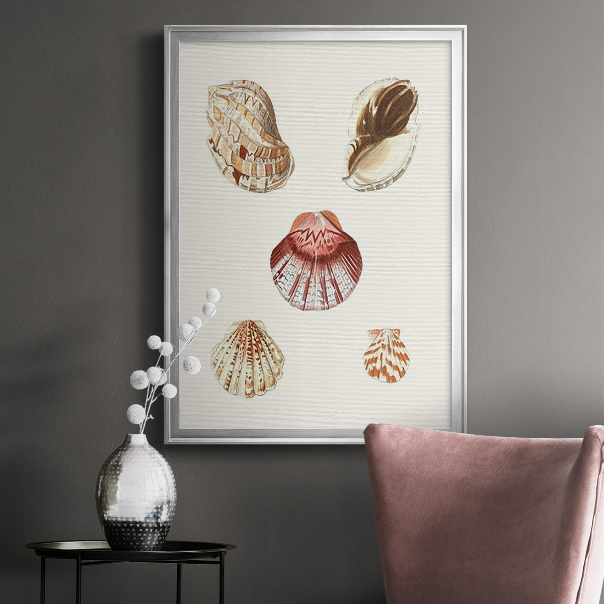 Pastel Knorr Shells V - Modern Framed Canvas Print