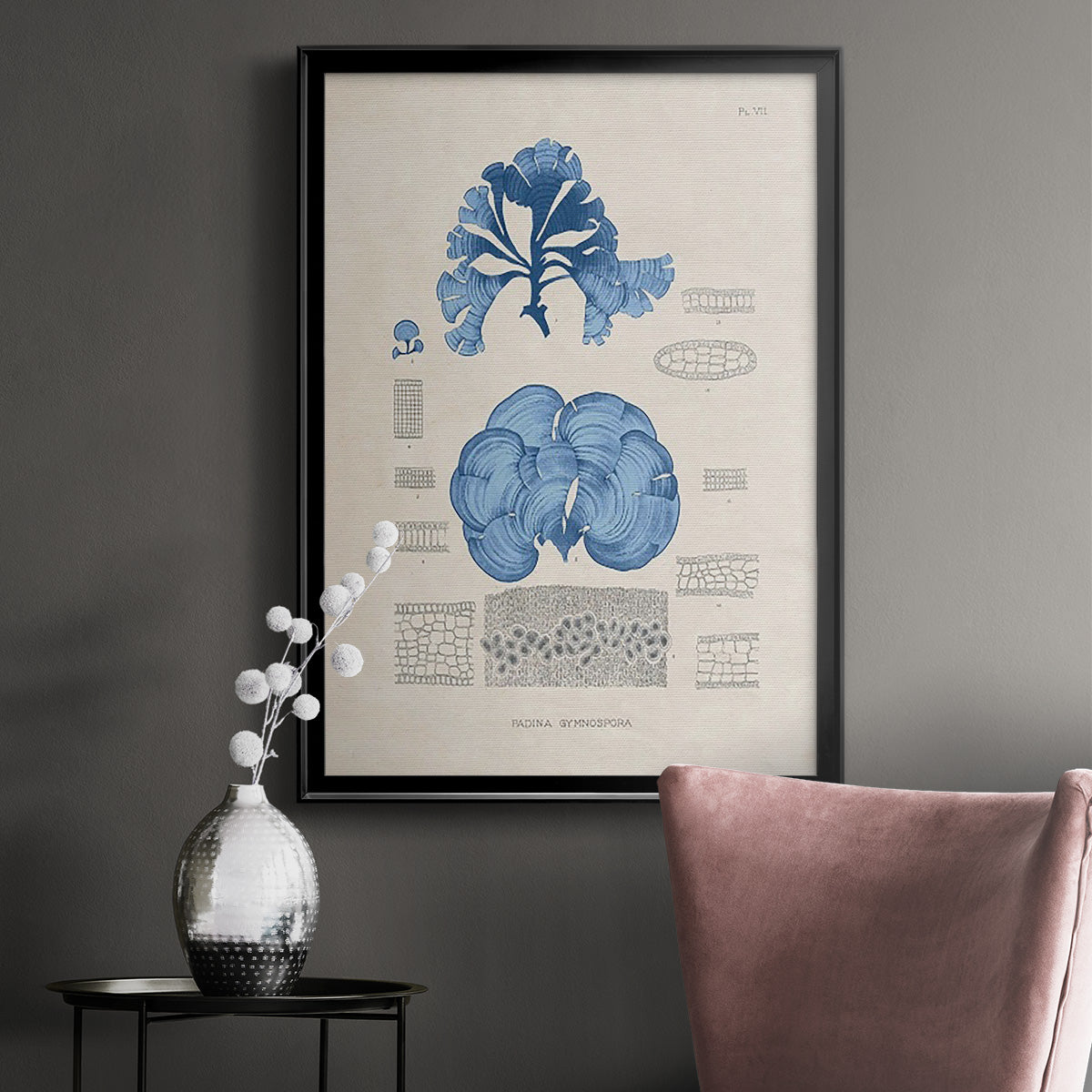 Blue Marine Algae IV -  Framed Canvas Print