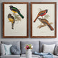 Elegant Trogons III - Premium Framed Canvas 2 Piece Set - Ready to Hang