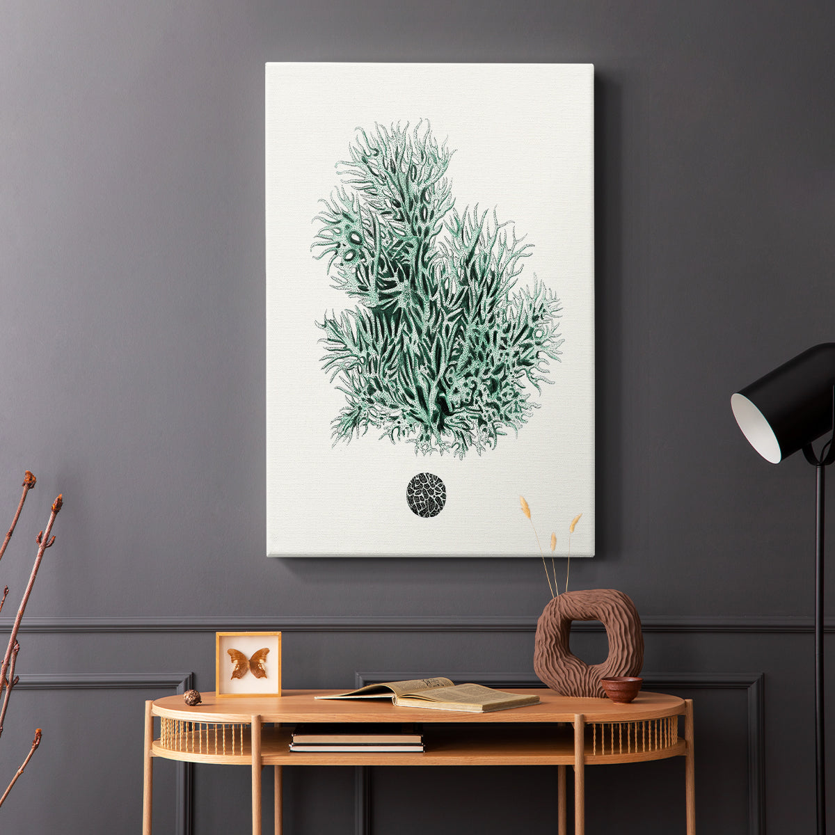 Antique Coastal Coral V - Canvas Art Print