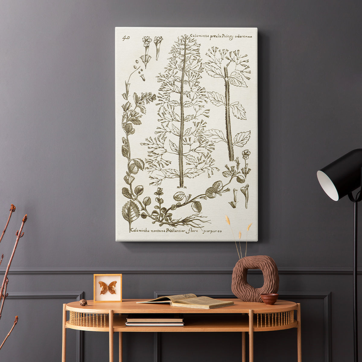 Sepia Botanical Journal V - Canvas Art Print
