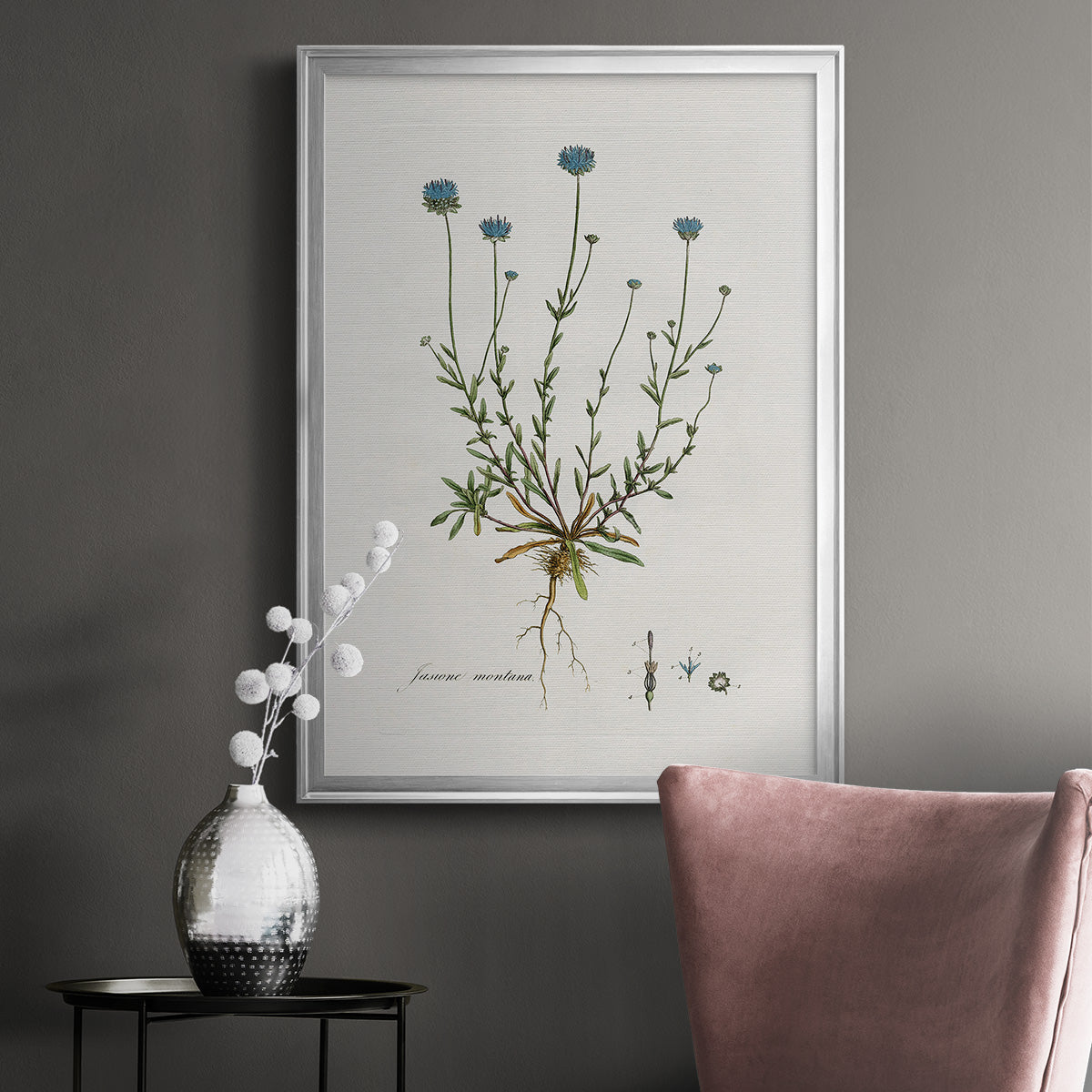 Bellflower Study - Modern Framed Canvas Print