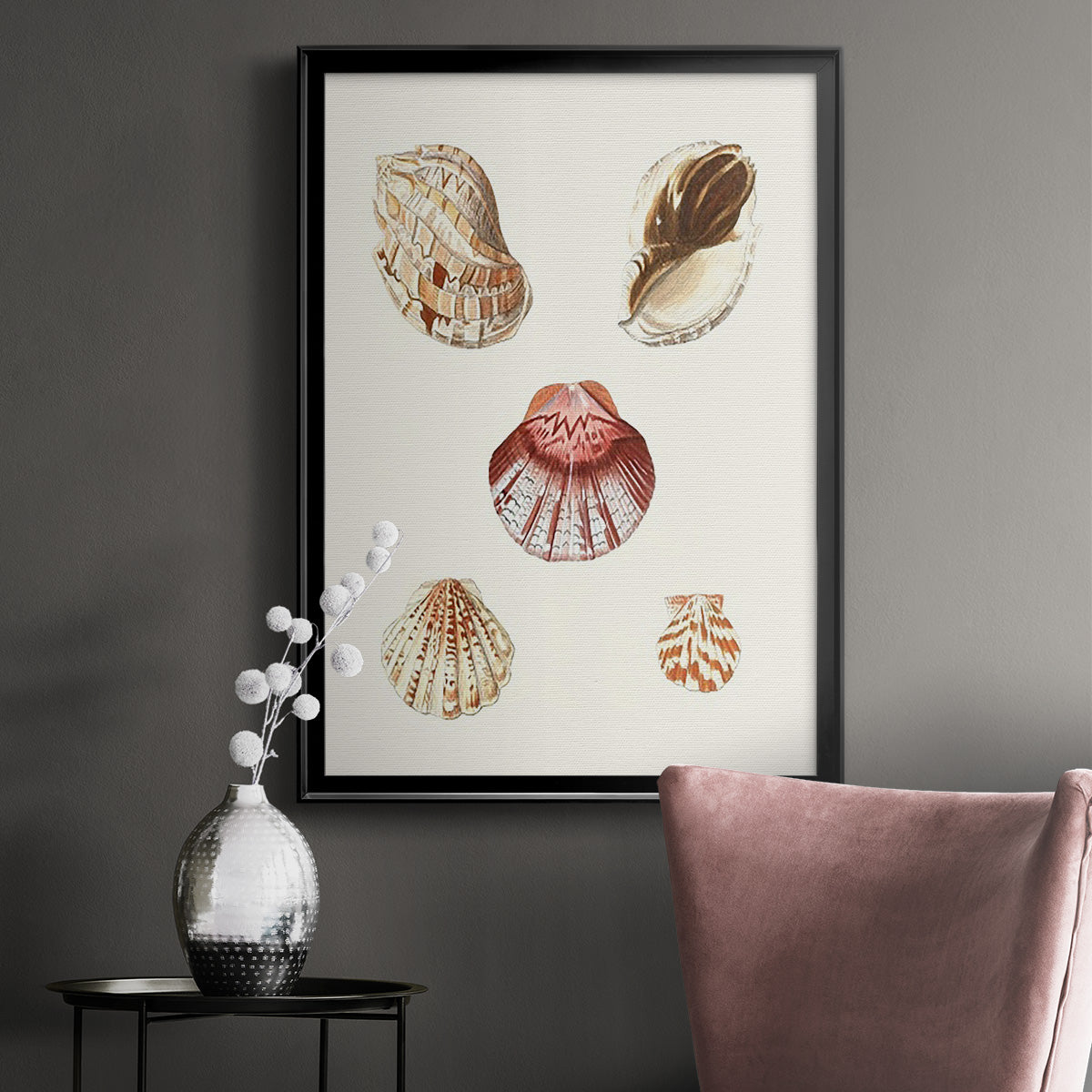 Pastel Knorr Shells V - Modern Framed Canvas Print