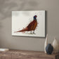 Pheasant Splash 4 - Canvas Art Print