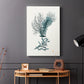 Antique Coastal Coral VI - Canvas Art Print