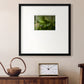 Arboreal Refuge Premium Framed Print Double Matboard