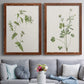 Wispy Botanical I - Premium Framed Canvas 2 Piece Set - Ready to Hang