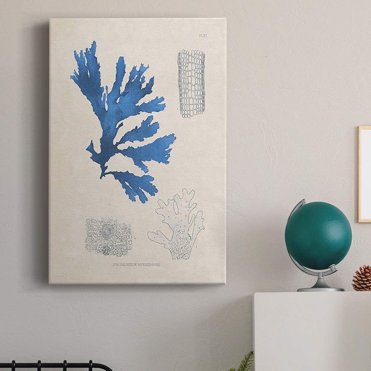 Blue Marine Algae VIII - Canvas Art Print