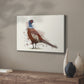 Pheasant Splash 5 - Canvas Art Print