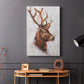 Stag Study II - Canvas Art Print