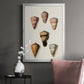 Cone Shell Collection IV - Modern Framed Canvas Print