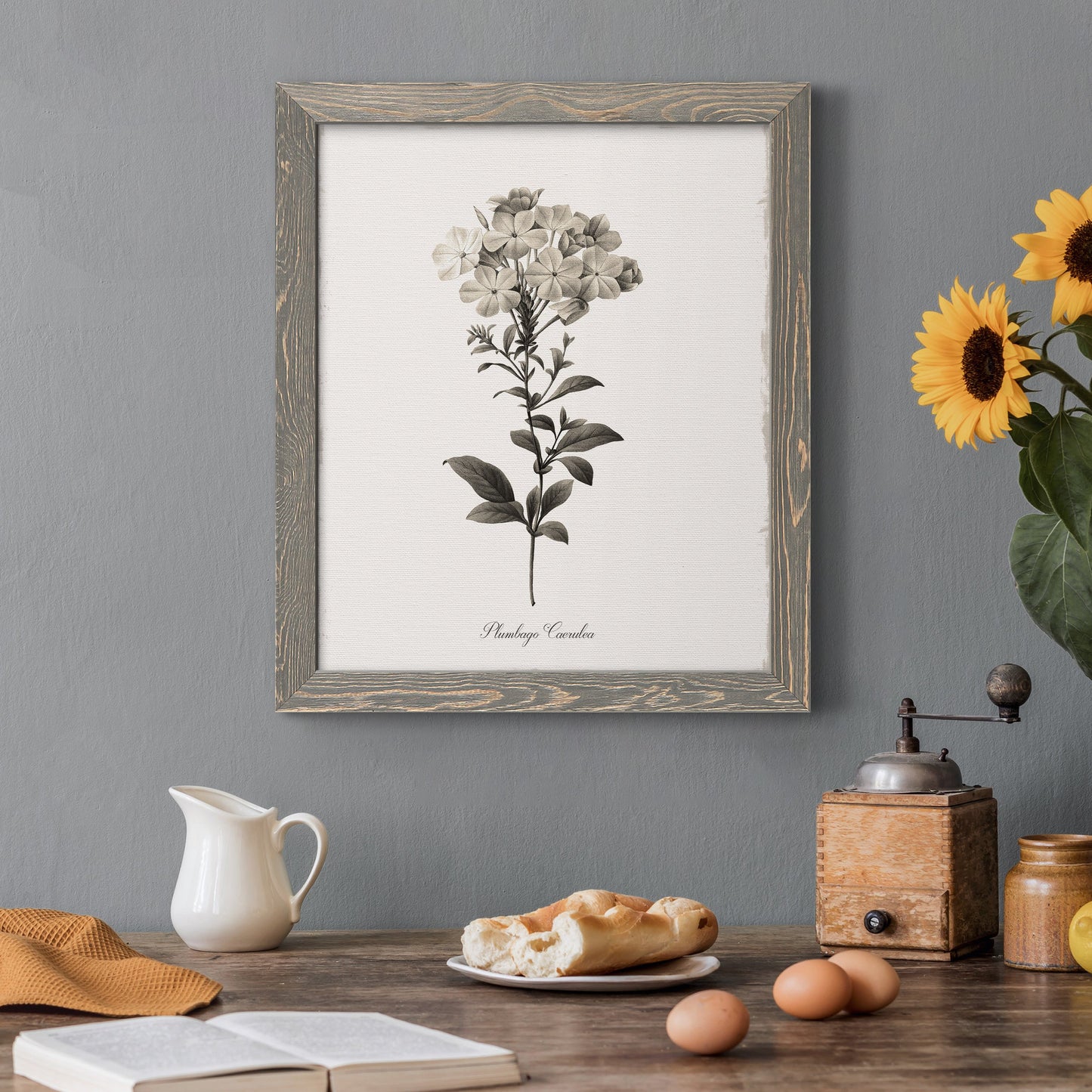 Sketchbook Leadwort - Premium Canvas Framed in Barnwood - Ready to Hang