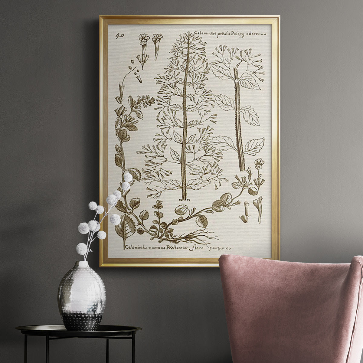 Sepia Botanical Journal V - Modern Framed Canvas Print