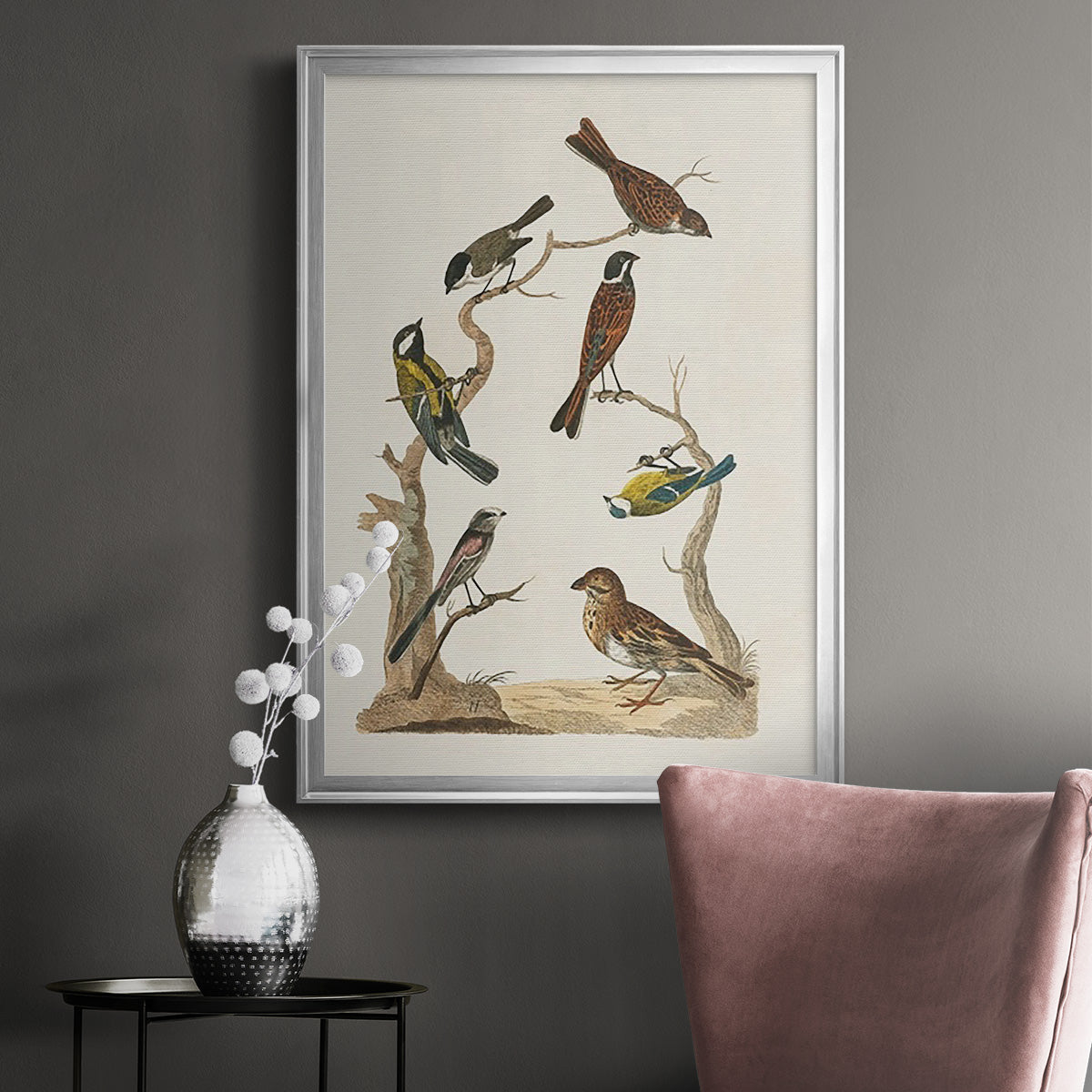 Antique Birds in Nature II - Modern Framed Canvas Print