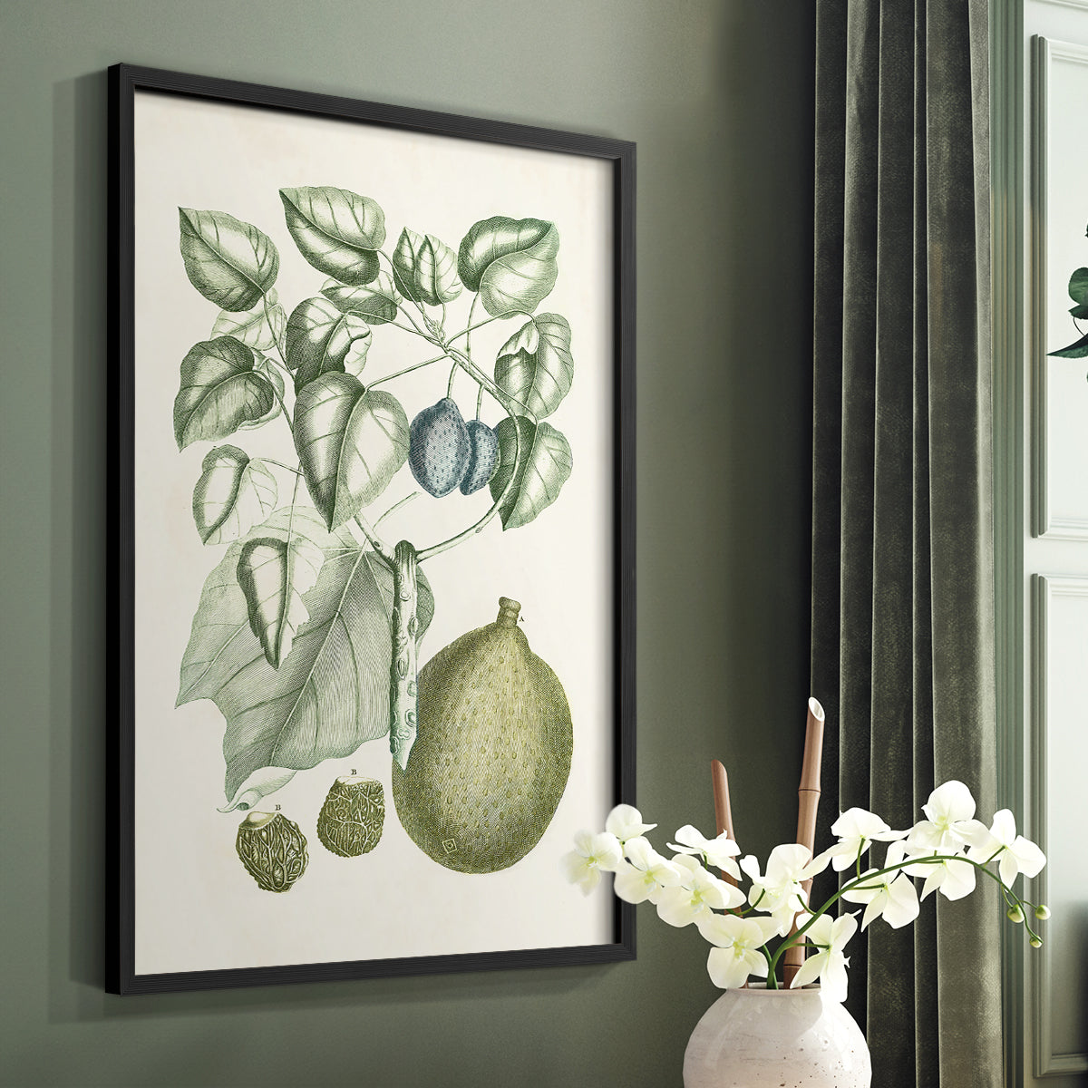 Buchoz Tropicals VIII - Restickable Framed Art Print