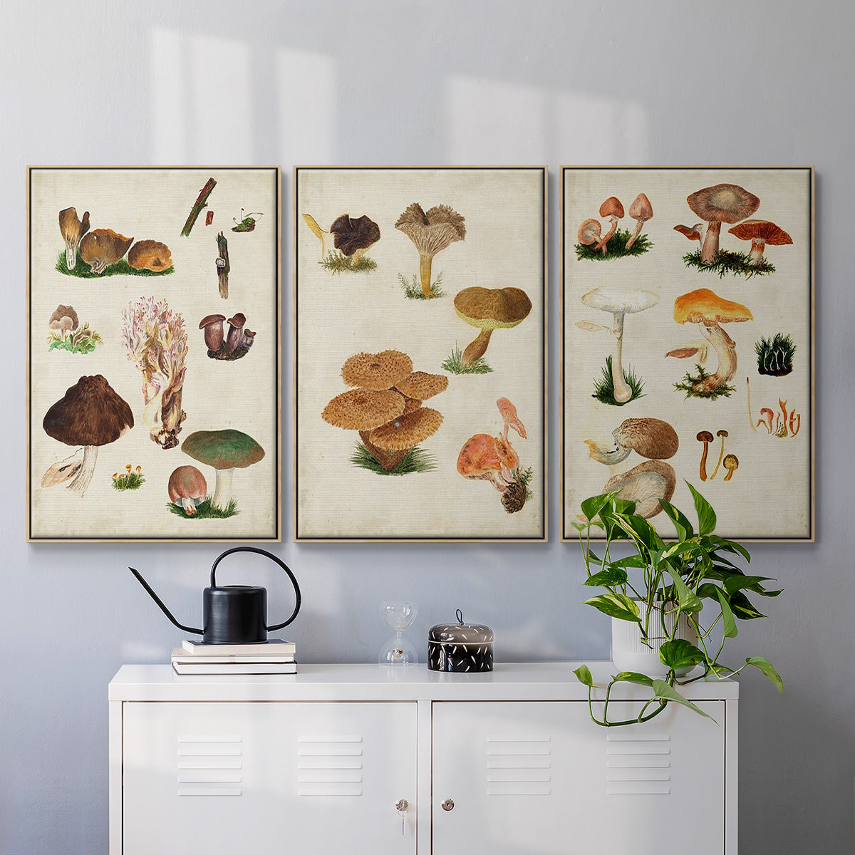 Mushroom Species I - Framed Premium Gallery Wrapped Canvas L Frame 3 Piece Set - Ready to Hang