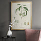 Antique Almond Botanical I - Modern Framed Canvas Print