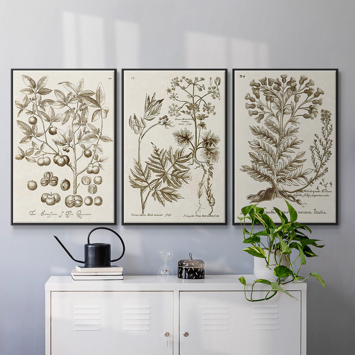 Sepia Botanical Journal I - Framed Premium Gallery Wrapped Canvas L Frame 3 Piece Set - Ready to Hang