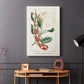 Turpin Tropical Botanicals VIII - Canvas Art Print