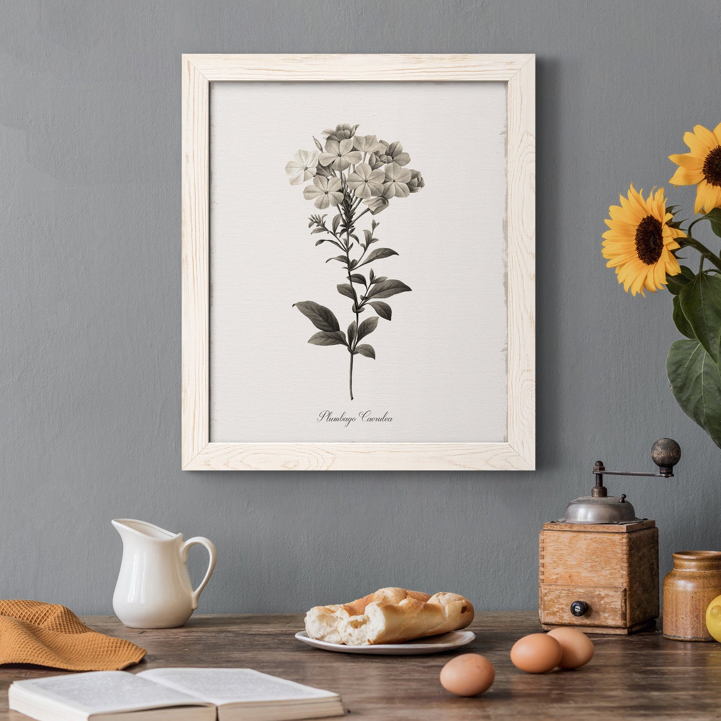 Sketchbook Leadwort - Premium Canvas Framed in Barnwood - Ready to Hang