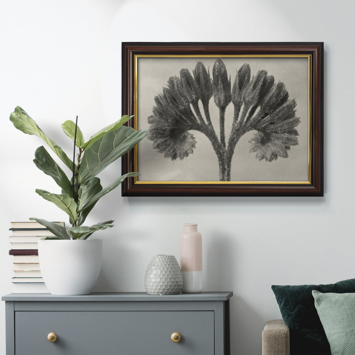 Vintage botanical plant study photograph by Karl Blossfeldt in an ornate mahogany wood frame with gold liner displayed in a dark-toned interior setting.