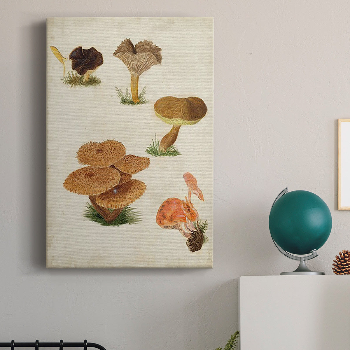 Mushroom Species V - Canvas Art Print