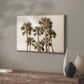Blushing Palms - Canvas Art Print