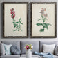 Traditional Botanical I - Premium Framed Canvas 2 Piece Set - Ready to Hang