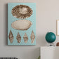 Sepia & Aqua Shells III - Canvas Art Print