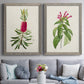 Set of two gray barnwood framed canvas prints depicting paired vintage botanical plate illustrations with peonies thistles leafy stems and archival cream paper above a sofa in a contemporary living room.