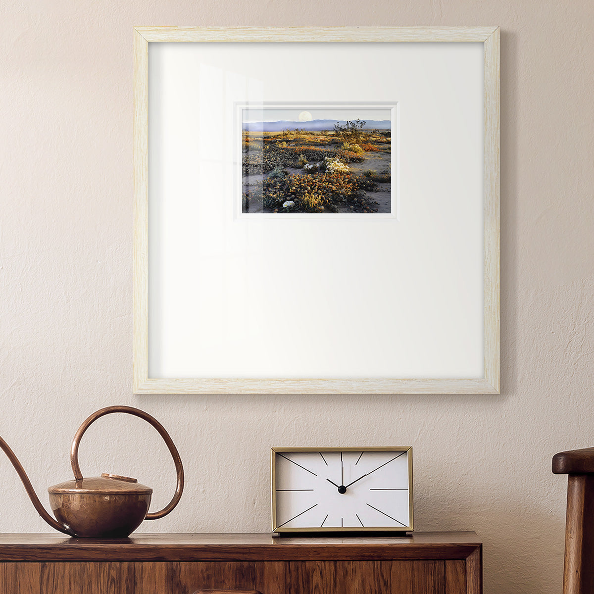 Anza Borrego Desert Premium Framed Print Double Matboard