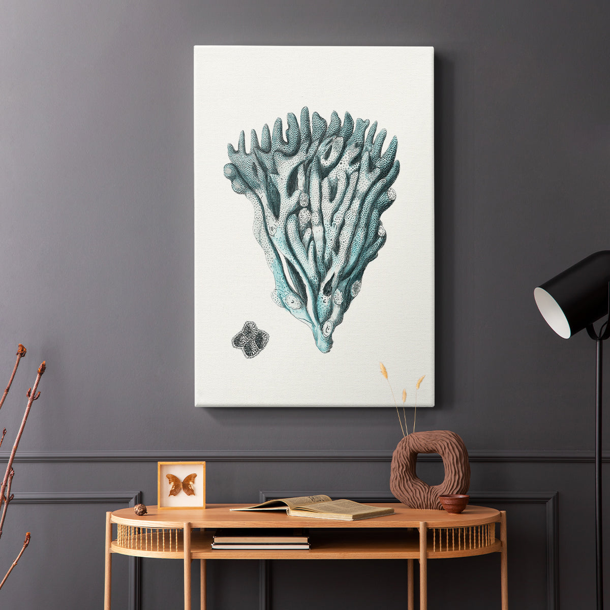 Antique Coastal Coral X - Canvas Art Print
