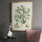 Buchoz Tropicals IX - Modern Framed Canvas Print