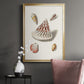 Pastel Knorr Shells VII - Modern Framed Canvas Print