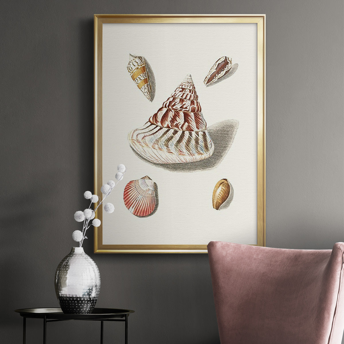 Pastel Knorr Shells VII - Modern Framed Canvas Print