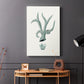 Antique Coastal Coral XII - Canvas Art Print