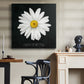 Delicate Daisy I - Canvas Art Print