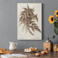 Sepia Fern Varieties IV Premium Gallery Wrapped Canvas - Ready to Hang