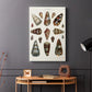 Spiral Shell Formation V - Canvas Art Print