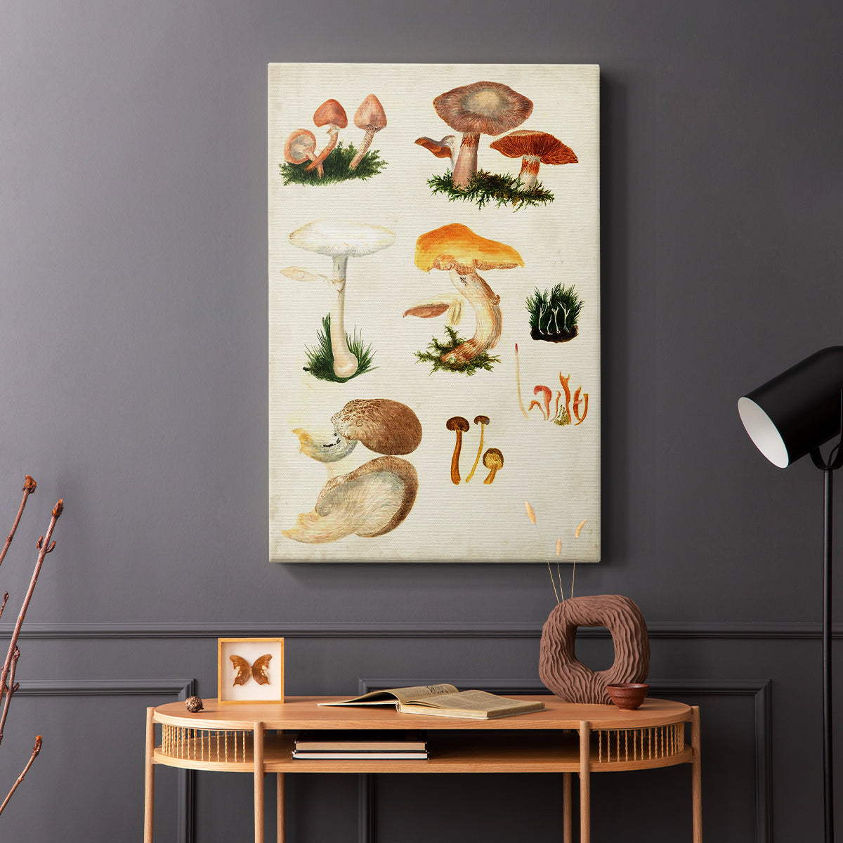 Mushroom Species IV - Canvas Art Print