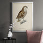 French Owls I - Modern Framed Canvas Print