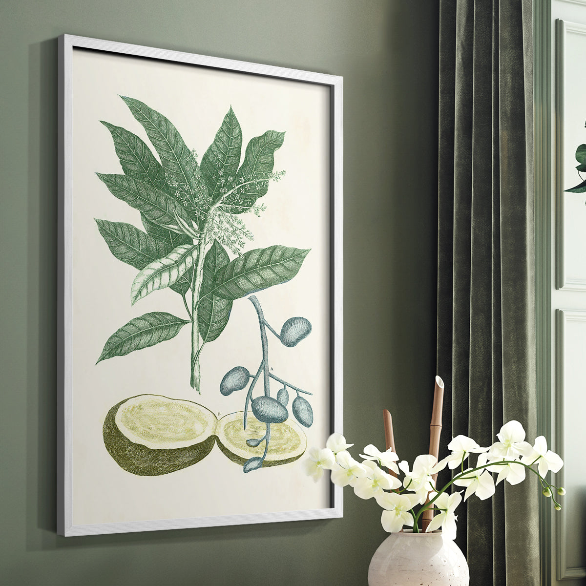 Buchoz Tropicals IV - Restickable Framed Art Print