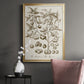 Sepia Botanical Journal II - Modern Framed Canvas Print