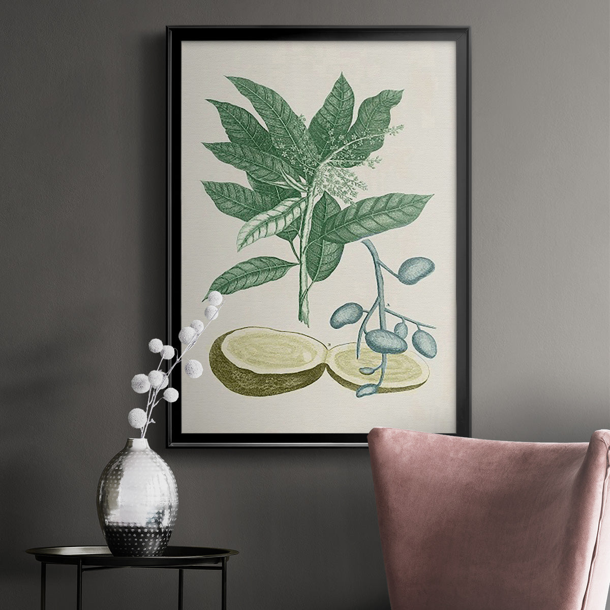 Buchoz Tropicals IV - Modern Framed Canvas Print