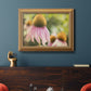 Echinacea Study II Premium Framed Canvas- Ready to Hang